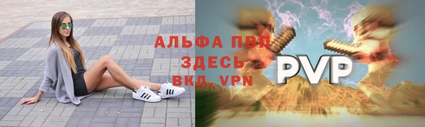 индика Медногорск