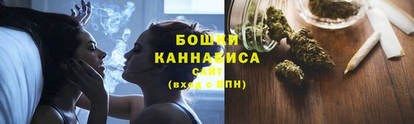 гидра Мегион