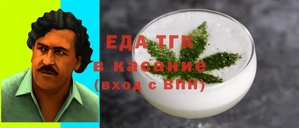 индика Медногорск