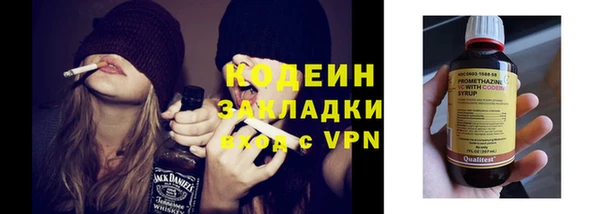 индика Медногорск