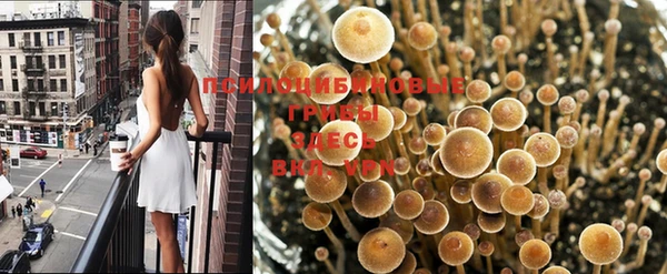 кокаин VHQ Медвежьегорск