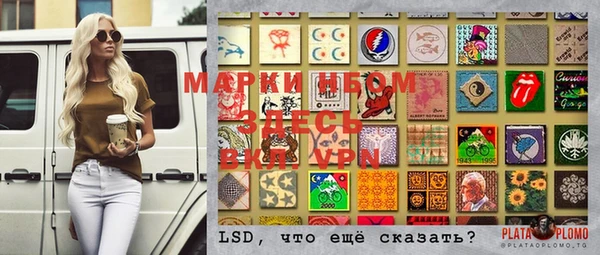 индика Медногорск