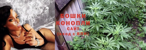 гидра Мегион