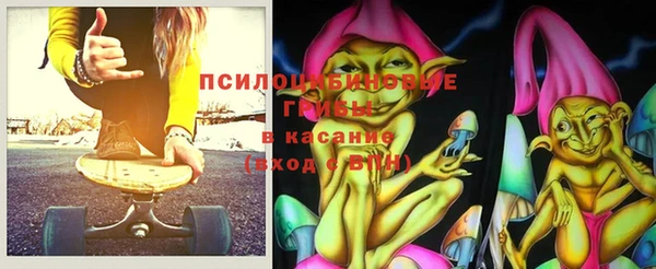 гидра Мегион