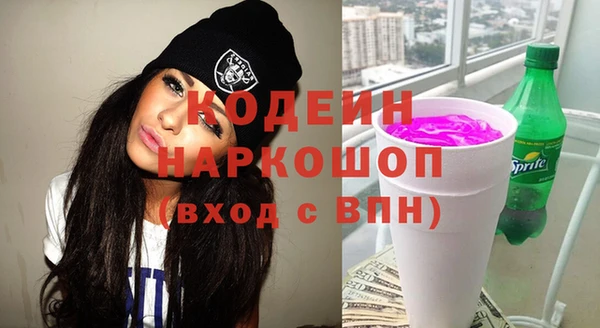 индика Медногорск