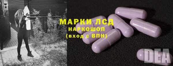 индика Медногорск