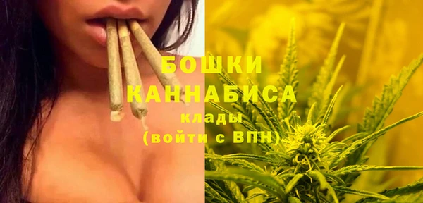 гидра Мегион
