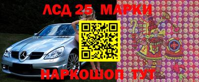спиды Камышлов