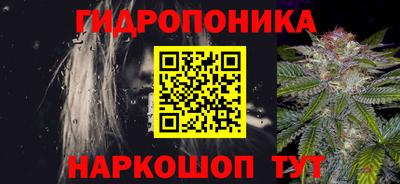 спиды Камышлов