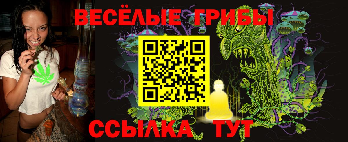 Киров  Псилоцибиновые грибы Cubensis  Вход с VPN 
