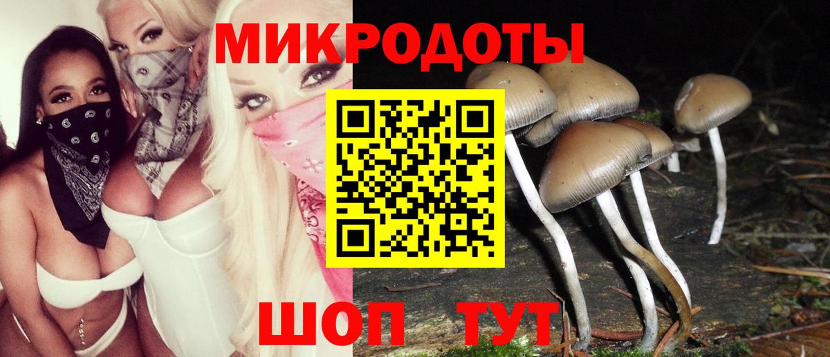 Галлюциногенные грибы Psilocybine cubensis Киров